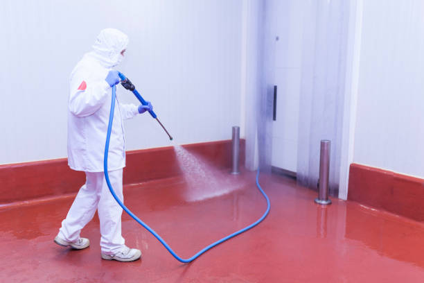 Trusted Sumner, IL Pressure Washing Services Experts