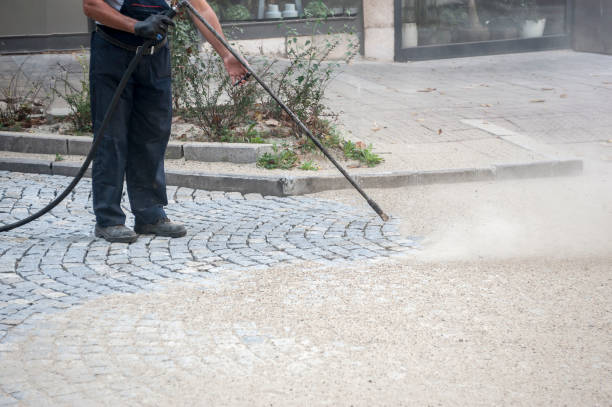Best Boat and Dock Cleaning  in Sumner, IL